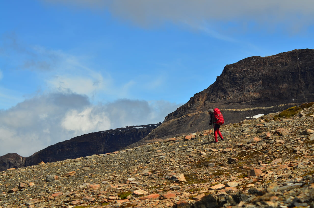 CERRO FERRIER - Imagen 4
